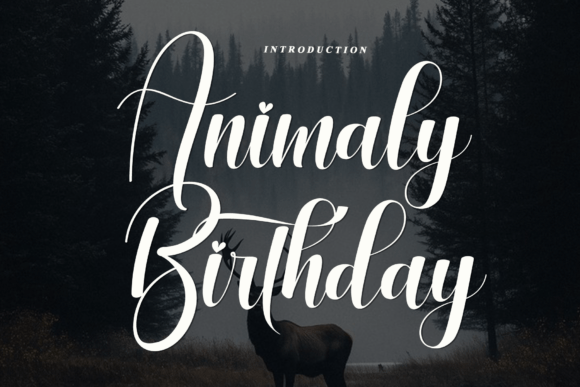 Animaly Birthday Font Review