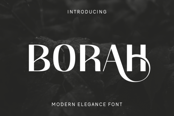 Borah Font: Modern Elegance for Business