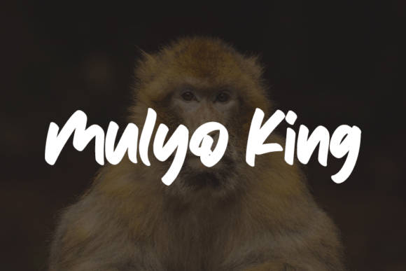 Mulyo King Font for Creative Projects