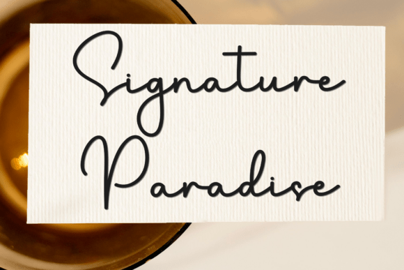 Signature Paradise Font Review