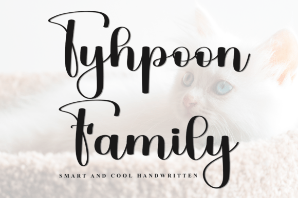 Tyhpoon Family Font for Business Branding